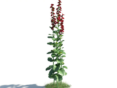 54 vibrant flowers and plants 3D Модель