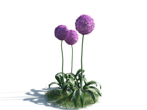 54 vibrant flowers and plants 3D Модель
