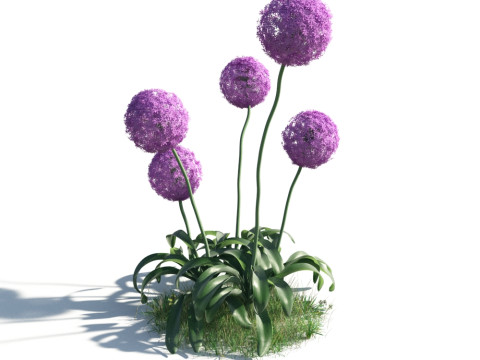 54 vibrant flowers and plants 3D Модель