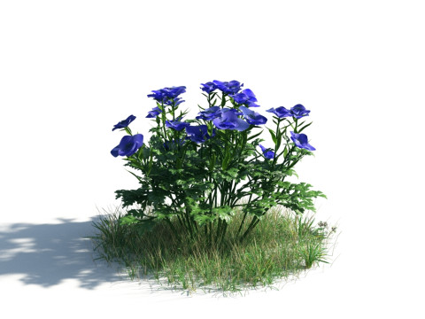 54 vibrant flowers and plants 3D Модель
