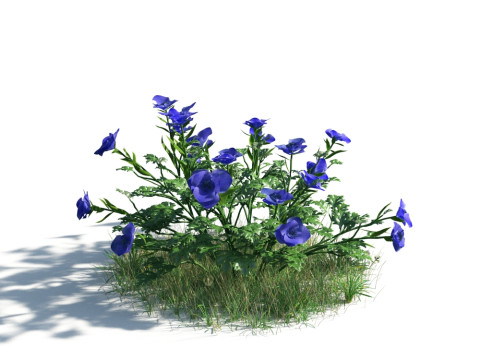 54 vibrant flowers and plants 3D Модель