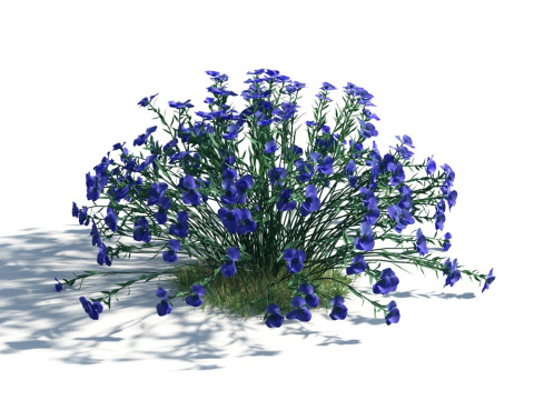 54 vibrant flowers and plants 3D Модель