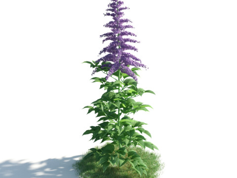 54 vibrant flowers and plants 3D Модель