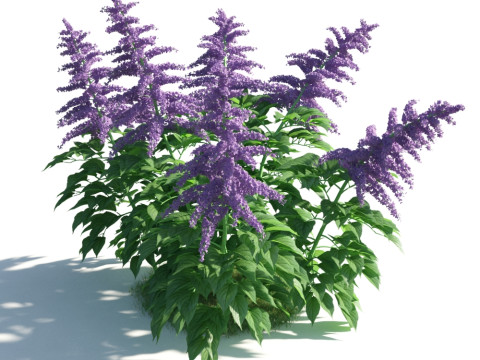 54 vibrant flowers and plants 3D Модель