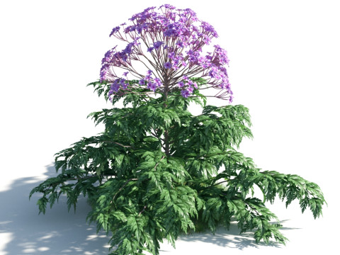 54 vibrant flowers and plants 3D Модель