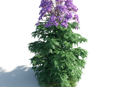 54 vibrant flowers and plants 3D Модель