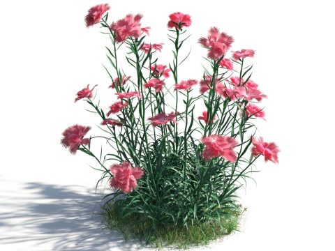 54 vibrant flowers and plants 3D Модель