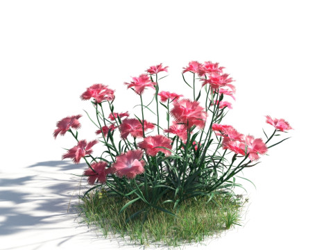 54 vibrant flowers and plants 3D Модель
