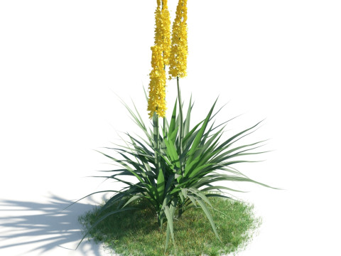 54 vibrant flowers and plants 3D Модель