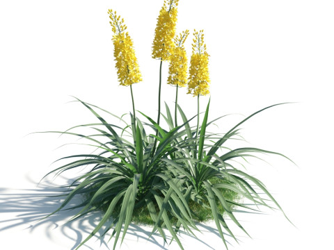 54 vibrant flowers and plants 3D Модель