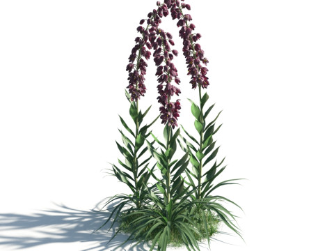 54 vibrant flowers and plants 3D Модель