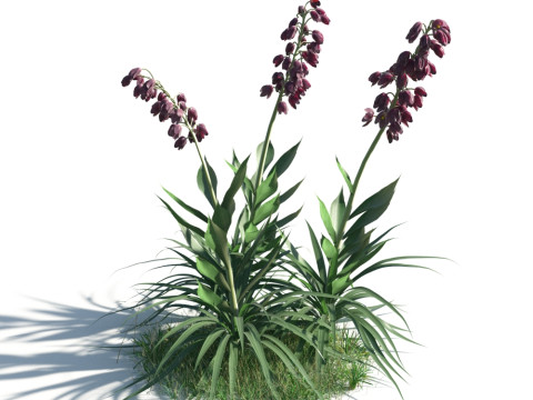 54 vibrant flowers and plants 3D Модель