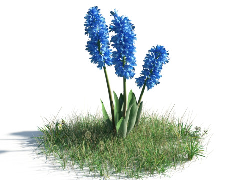 54 vibrant flowers and plants 3D Модель
