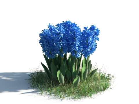 54 vibrant flowers and plants 3D Модель