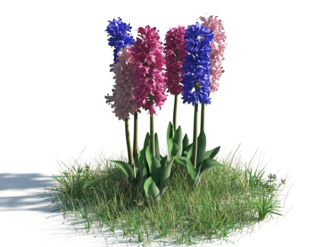 54 vibrant flowers and plants 3D Модель