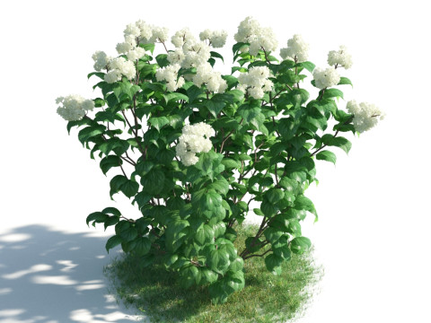 54 vibrant flowers and plants 3D Модель