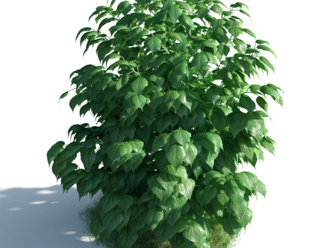 54 vibrant flowers and plants 3D Модель