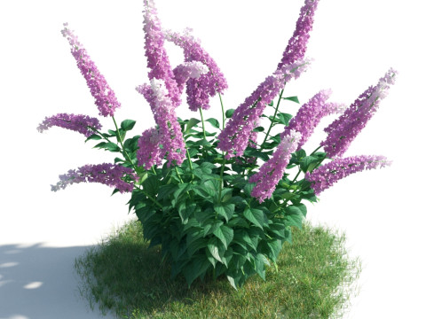 54 vibrant flowers and plants 3D Модель