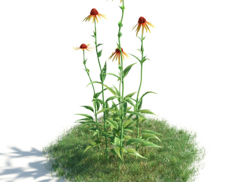 54 vibrant flowers and plants 3D Модель