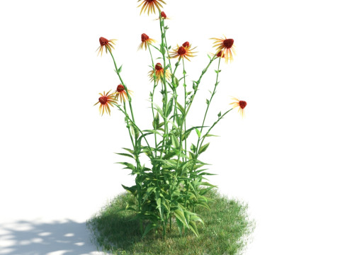 54 vibrant flowers and plants 3D Модель