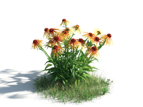 54 vibrant flowers and plants 3D Модель
