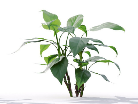 87 potted plants Model 3D