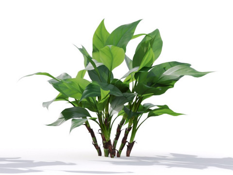 87 potted plants Model 3D