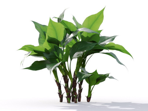 87 potted plants Model 3D