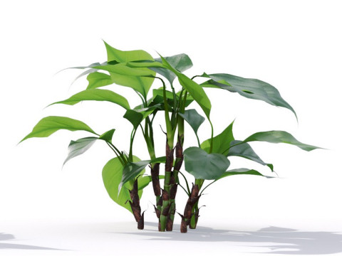 87 potted plants Model 3D