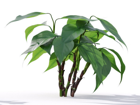 87 potted plants Model 3D