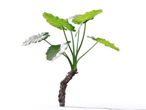87 potted plants Model 3D