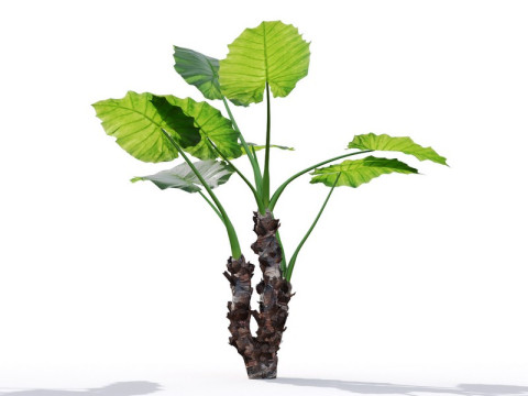 87 potted plants Model 3D
