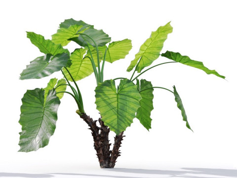 87 potted plants Model 3D