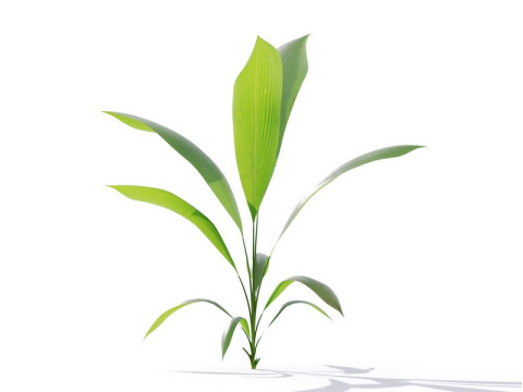87 potted plants Model 3D