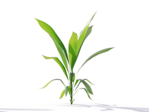 87 potted plants Model 3D