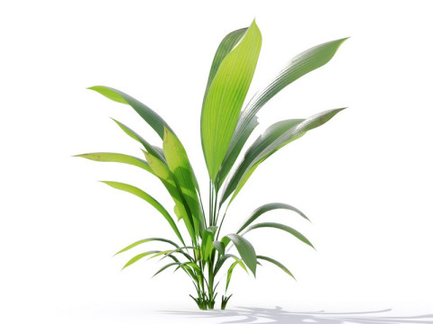 87 potted plants Model 3D