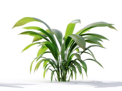 87 potted plants Model 3D