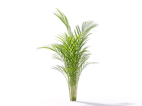 87 potted plants Model 3D