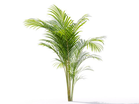 87 potted plants Model 3D