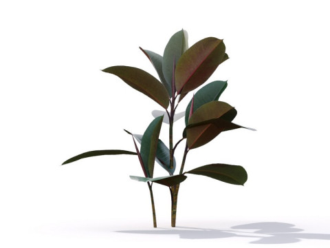 87 potted plants Model 3D