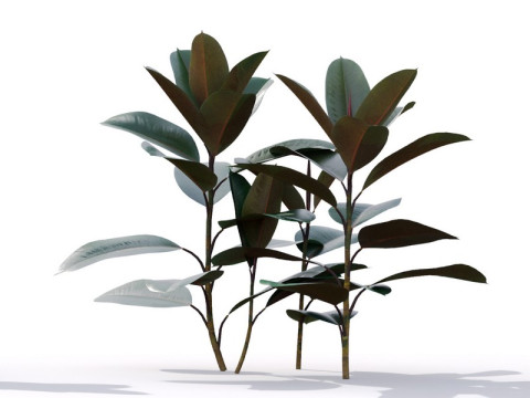 87 potted plants Model 3D