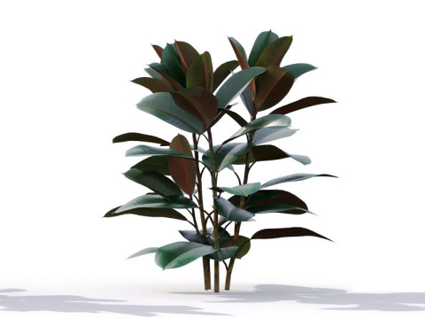 87 potted plants Model 3D