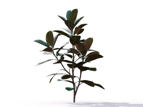 87 potted plants Model 3D