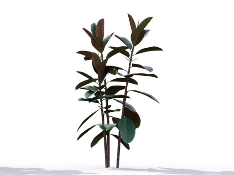 87 potted plants Model 3D