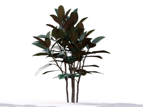 87 potted plants Model 3D