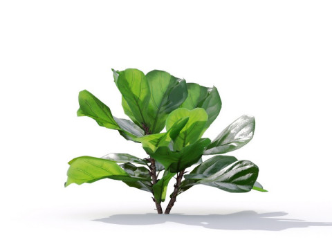 87 potted plants Model 3D