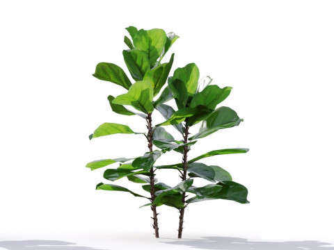 87 potted plants Model 3D