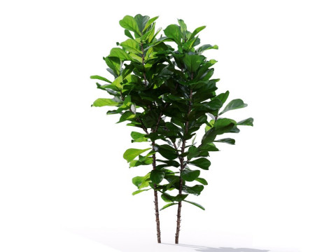 87 potted plants Model 3D