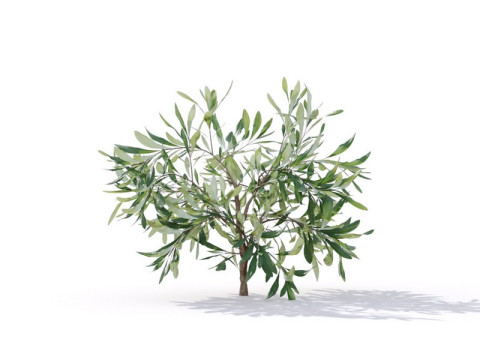 87 potted plants Model 3D