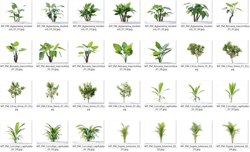 87 potted plants Model 3D .c4d .max .obj .3ds .fbx .stl .blend